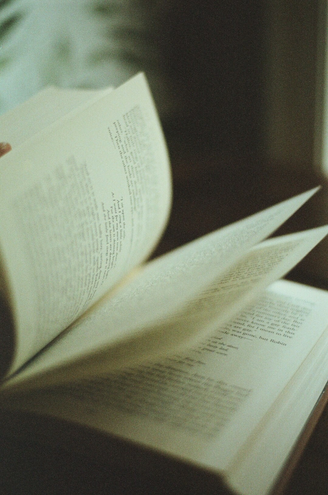bookshelf detective novels
