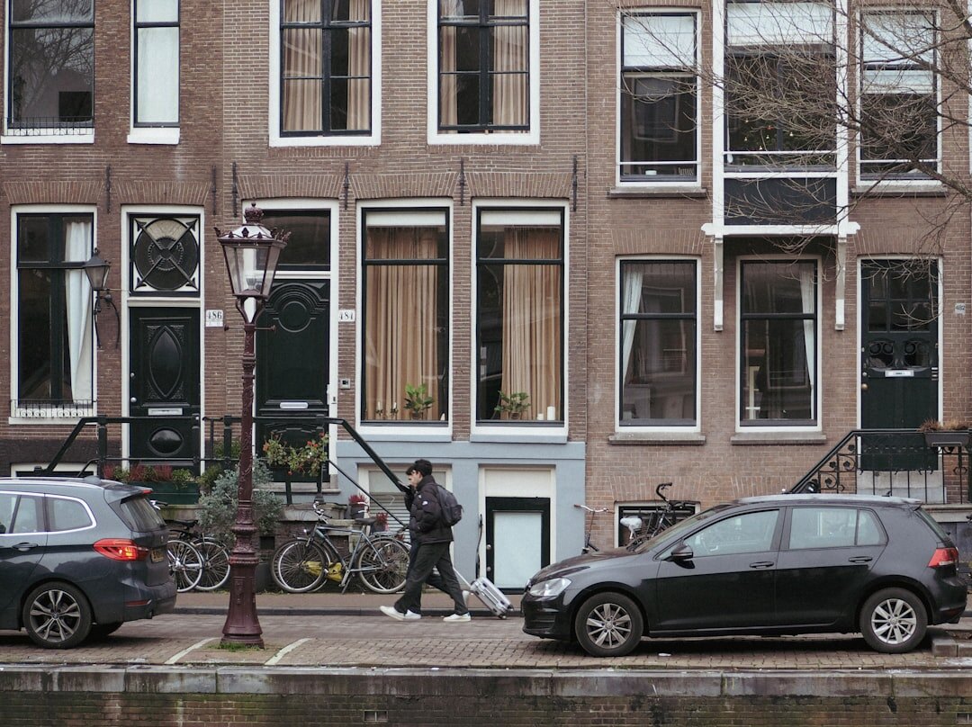 dutch detective novel